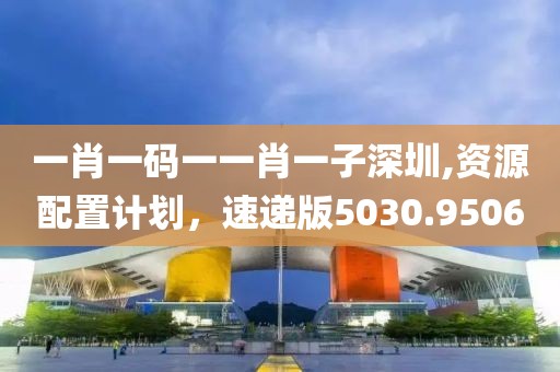 一肖一码一一肖一子深圳,资源配置计划，速递版5030.9506