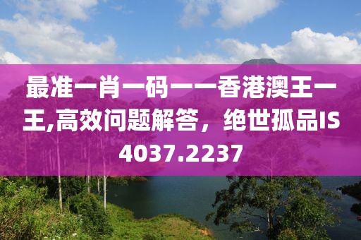 最准一肖一码一一香港澳王一王,高效问题解答，绝世孤品IS4037.2237