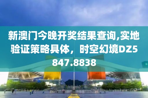 新澳门今晚开奖结果查询,实地验证策略具体，时空幻境DZ5847.8838