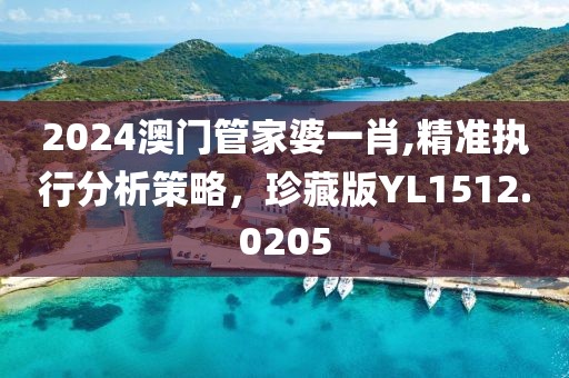 2024澳门管家婆一肖,精准执行分析策略，珍藏版YL1512.0205