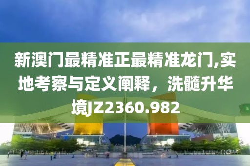 新澳门最精准正最精准龙门,实地考察与定义阐释，洗髓升华境JZ2360.982