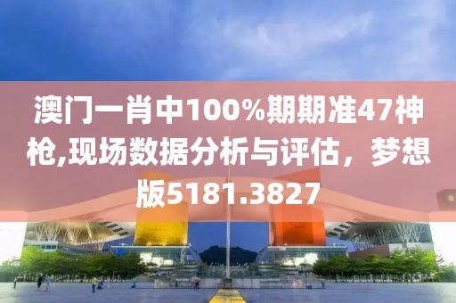 澳门一肖中100%期期准47神枪,现场数据分析与评估，梦想版5181.3827