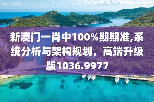 新澳门一肖中100%期期准,系统分析与架构规划，高端升级版1036.9977