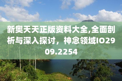 新奥天天正版资料大全,全面剖析与深入探讨，神念领域IO2909.2254