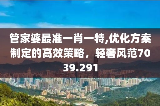 管家婆最准一肖一特,优化方案制定的高效策略，轻奢风范7039.291