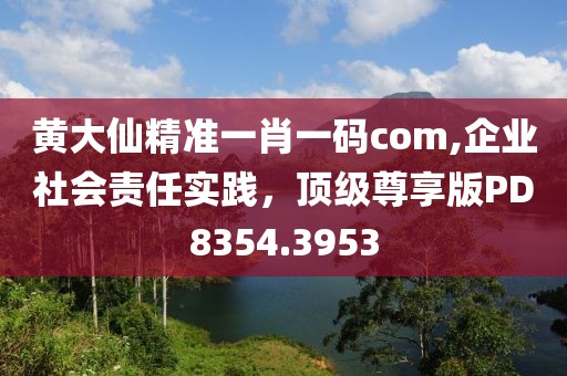 黄大仙精准一肖一码com,企业社会责任实践，顶级尊享版PD8354.3953