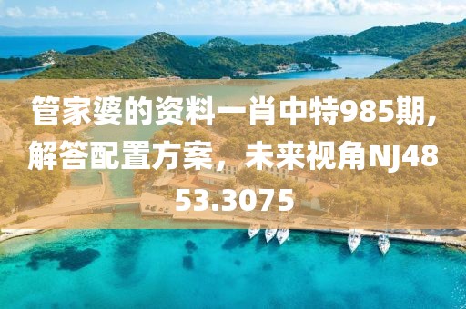 管家婆的资料一肖中特985期,解答配置方案，未来视角NJ4853.3075