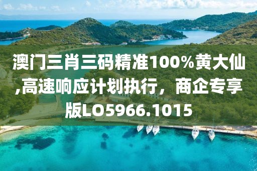 澳门三肖三码精准100%黄大仙,高速响应计划执行，商企专享版LO5966.1015