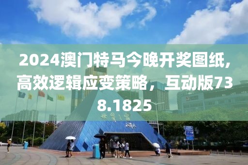 2024澳门特马今晚开奖图纸,高效逻辑应变策略，互动版738.1825