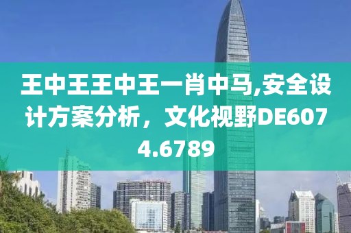 王中王王中王一肖中马,安全设计方案分析，文化视野DE6074.6789