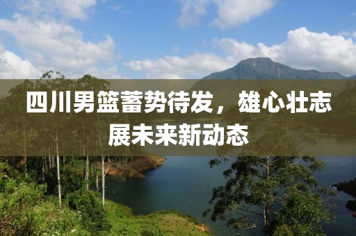 四川男篮蓄势待发，雄心壮志展未来新动态