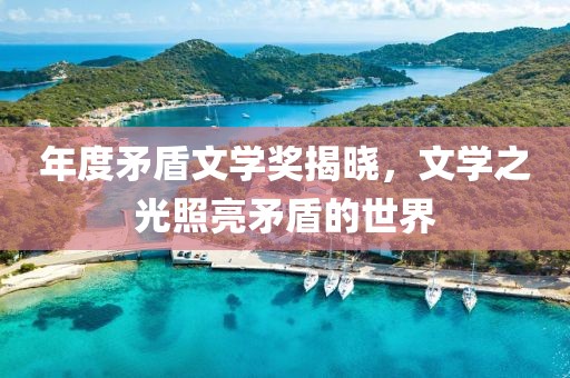 年度矛盾文学奖揭晓，文学之光照亮矛盾的世界