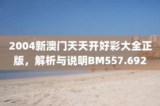 2004新澳门天天开好彩大全正版，解析与说明BM557.692