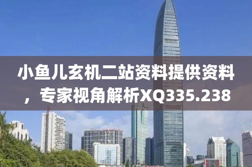 小鱼儿玄机二站资料提供资料，专家视角解析XQ335.238