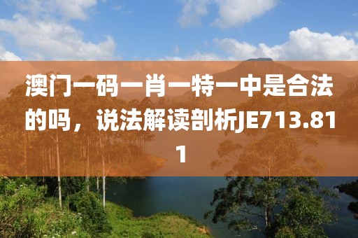 澳门一码一肖一特一中是合法的吗，说法解读剖析JE713.811