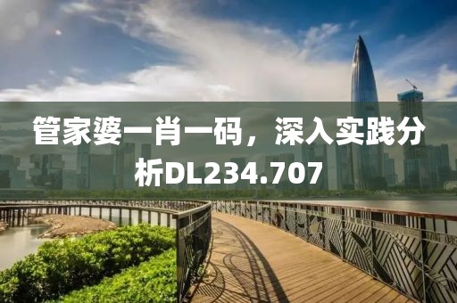 管家婆一肖一码，深入实践分析DL234.707