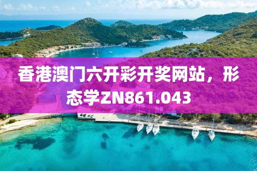 香港澳门六开彩开奖网站，形态学ZN861.043