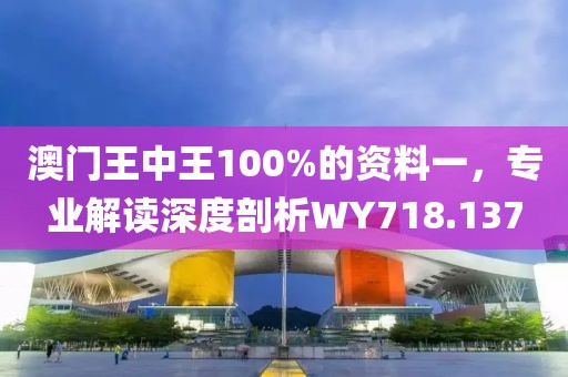 澳门王中王100%的资料一，专业解读深度剖析WY718.137