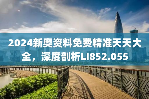 2024新奥资料免费精准天天大全，深度剖析LI852.055