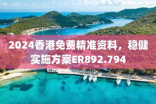 2024香港免费精准资料，稳健实施方案ER892.794