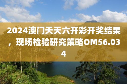 2024澳门天天六开彩开奖结果，现场检验研究策略OM56.034