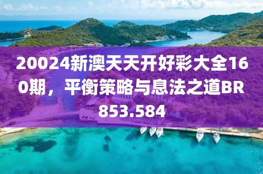 20024新澳天天开好彩大全160期，平衡策略与息法之道BR853.584