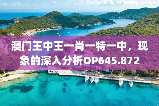 花开无言 第22页