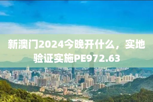 新澳门2024今晚开什么，实地验证实施PE972.63