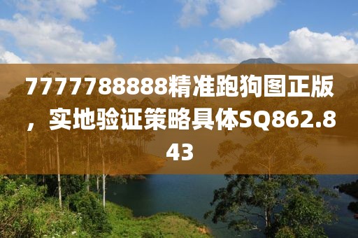 7777788888精准跑狗图正版，实地验证策略具体SQ862.843