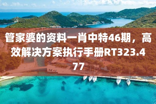 管家婆的资料一肖中特46期，高效解决方案执行手册RT323.477