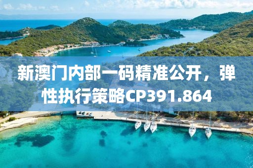 新澳门内部一码精准公开，弹性执行策略CP391.864