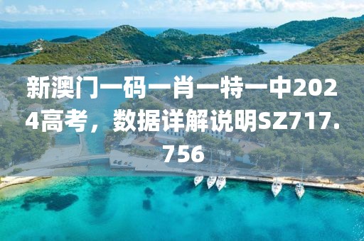 新澳门一码一肖一特一中2024高考，数据详解说明SZ717.756