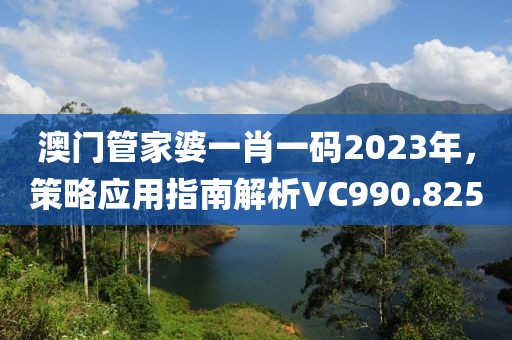 澳门管家婆一肖一码2023年，策略应用指南解析VC990.825