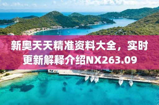 新奥天天精准资料大全，实时更新解释介绍NX263.09