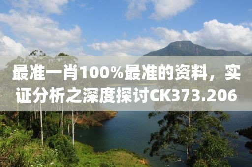 最准一肖100%最准的资料，实证分析之深度探讨CK373.206