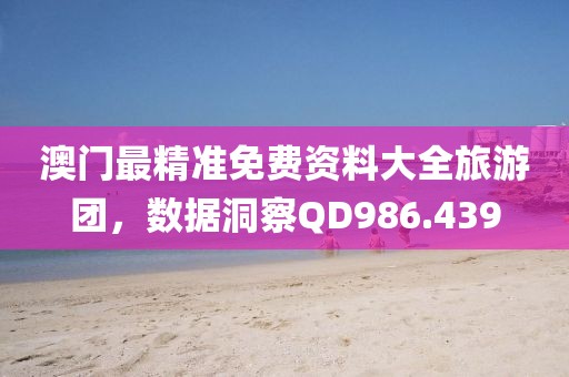 澳门最精准免费资料大全旅游团，数据洞察QD986.439