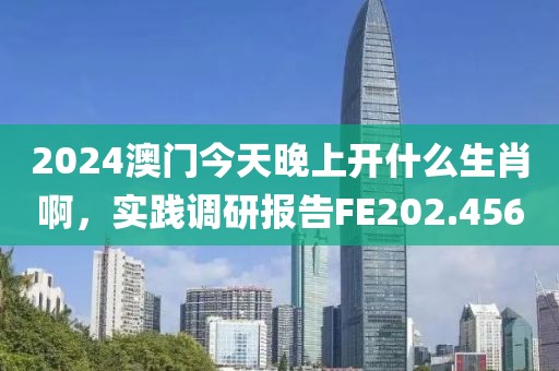 2024澳门今天晚上开什么生肖啊，实践调研报告FE202.456