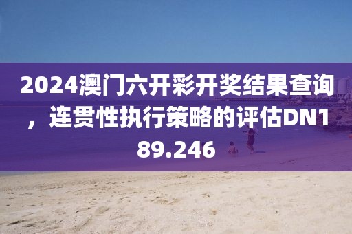2024澳门六开彩开奖结果查询，连贯性执行策略的评估DN189.246