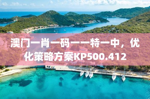澳门一肖一码一一特一中，优化策略方案KP500.412