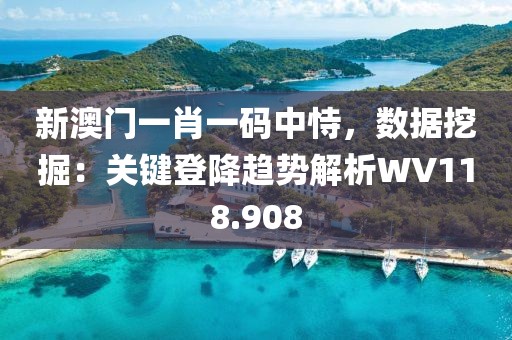 新澳门一肖一码中恃，数据挖掘：关键登降趋势解析WV118.908