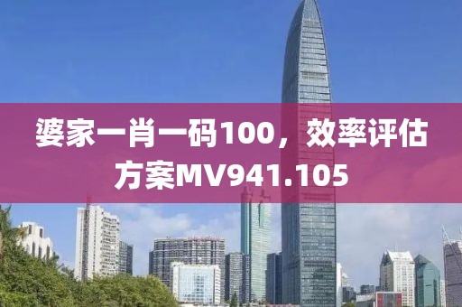 婆家一肖一码100，效率评估方案MV941.105