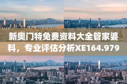 新奥门特免费资料大全管家婆料，专业评估分析XE164.979