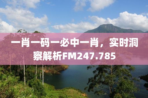 一肖一码一必中一肖，实时洞察解析FM247.785