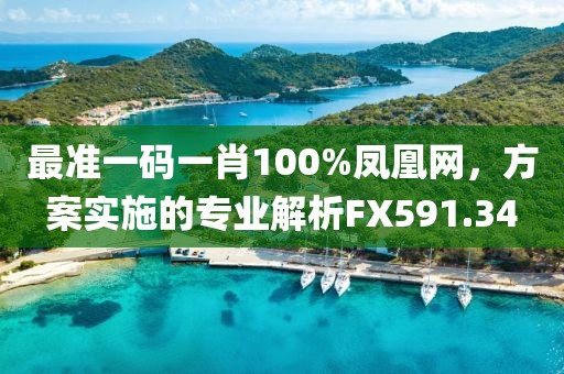 最准一码一肖100%凤凰网，方案实施的专业解析FX591.34