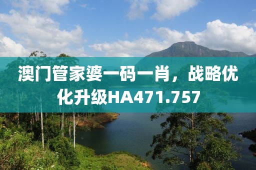 澳门管家婆一码一肖，战略优化升级HA471.757