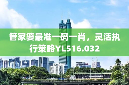 管家婆最准一码一肖，灵活执行策略YL516.032