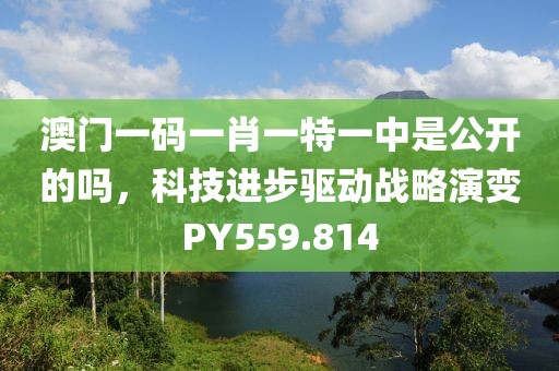澳门一码一肖一特一中是公开的吗，科技进步驱动战略演变PY559.814