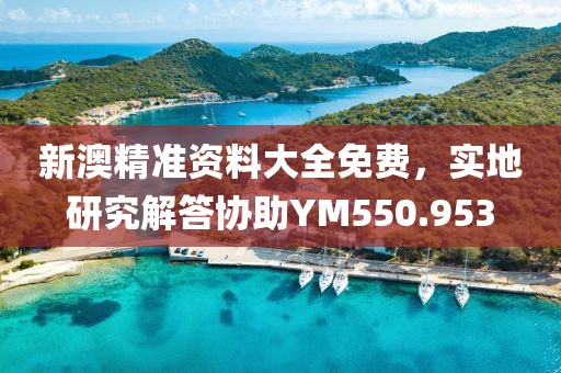 新澳精准资料大全免费，实地研究解答协助YM550.953