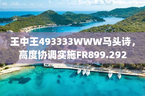 王中王493333WWW马头诗，高度协调实施FR899.292