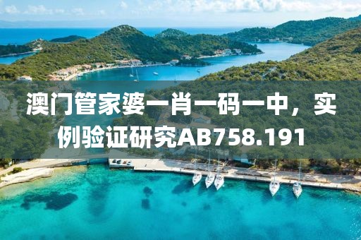 澳门管家婆一肖一码一中，实例验证研究AB758.191
